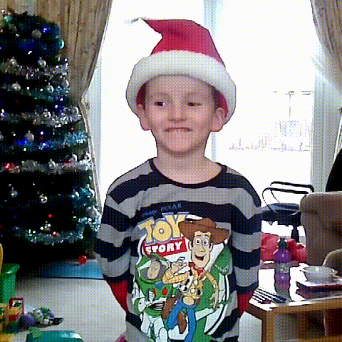 Fun Singing Santa Hat