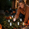 Solar Crystal Bubble Pathway Lights