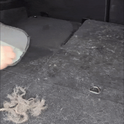 EasyGrip Pet Hair Removal Gloves