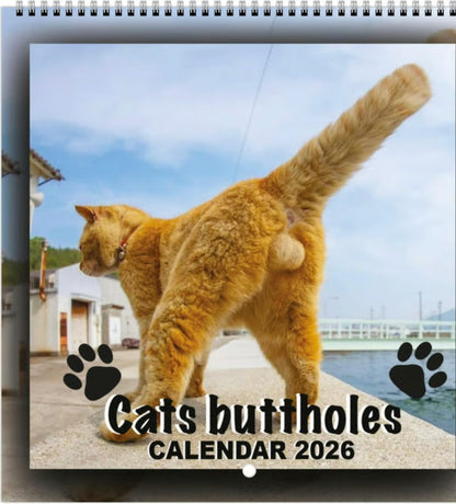 Humor-Filled Daily Calendar